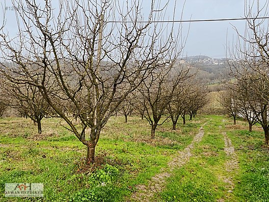 Serdivan Esentepe'de Satılık Arsalar - Yatırım Fırsatı! - SAKARYA SERDİVAN fotoğraf 4