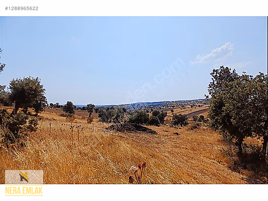 KÖY YERLEŞİMİN DİBİNDE TEKTAPU EV İÇİN TEMEL ATILMIŞ 5.735m2ARSA - MANİSA SELENDİ fotoğraf 6