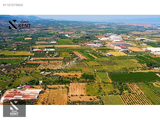 Kemalpaşa Armutlu Satılık 2300 m2 Bahçe Müstakil Parsel Tek Tapu - İZMİR KEMALPAŞA fotoğraf 31