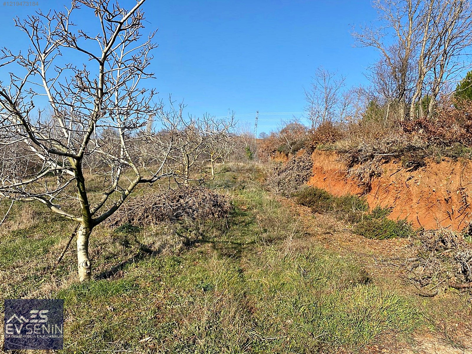 BURSA KARACABEY YARIŞ'TA DOĞA MANZARALI SATILIK 10.150 M2 ARAZİ - BURSA KARACABEY fotoğraf 11