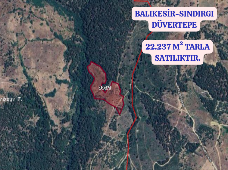 BALIKESİR SINDIRGI DÜVERTEPE   MAHALLESİNDE  22.237  M² TARLA  SATILIKTIR - BALIKESİR SINDIRGI fotoğraf 2