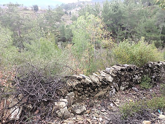 Antalya  Alanya  Fakırcalı Mahallesinde 388 m² SATILIK TARLA - ANTALYA ALANYA fotoğraf 2