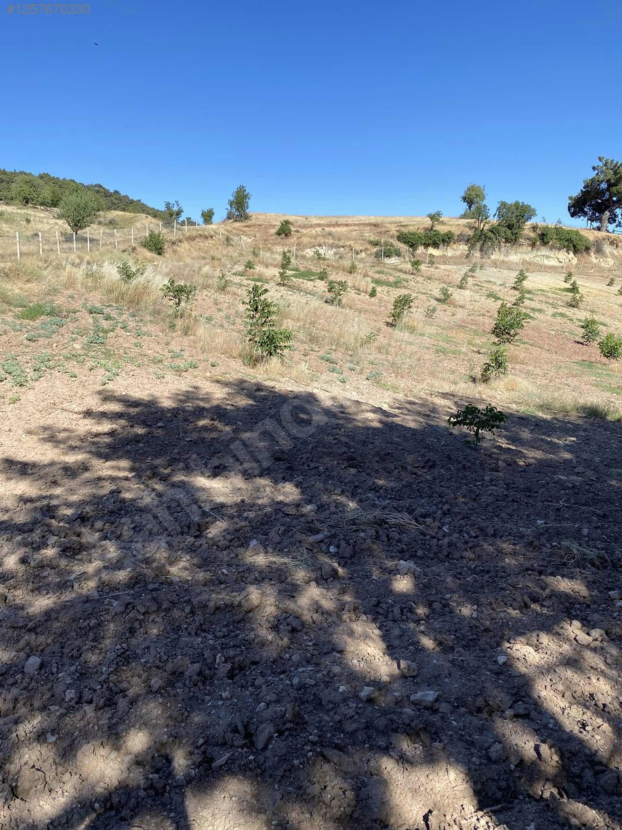 DENİZLİ BULDAN BOSTANYERİ    9.645 M²  TARLA SATILIKTIR - DENİZLİ BULDAN fotoğraf 5