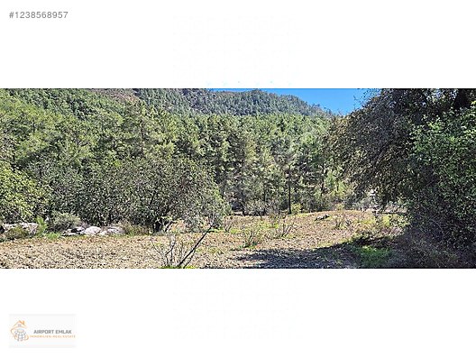 AIRPORT EMLAKTAN DALAMAN KARACAAĞAÇ MAH. SATILIK TARLA - MUĞLA DALAMAN fotoğraf 4