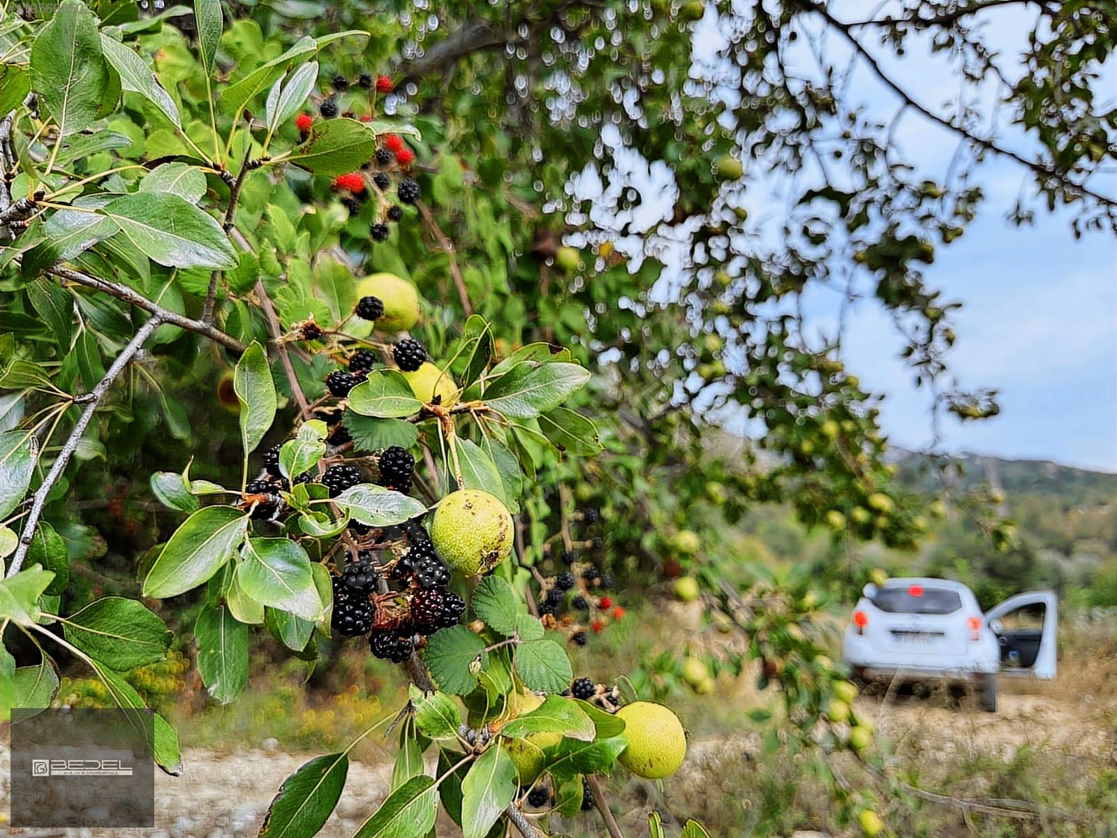 SATILIK BURDUR KARTALPINAR KÖYÜNDE YERLEŞİM İÇİ SULU TARLA