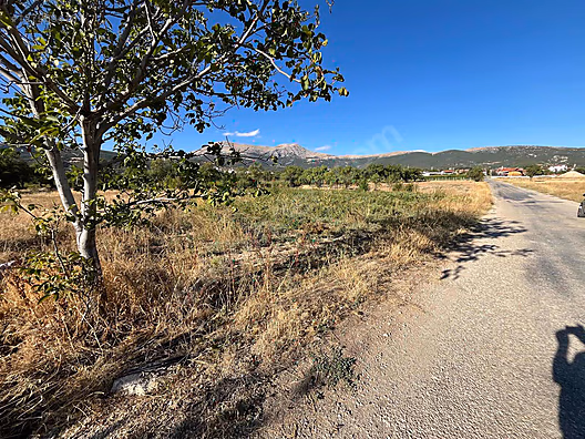 GÖNEN'DE İMARA YAKIN GÜL BAHÇESİ - ISPARTA GÖNEN fotoğraf 2