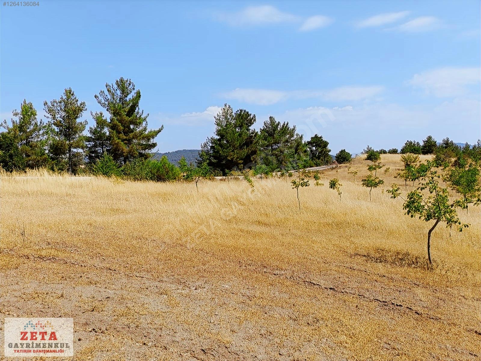 Sakarya Taraklı'da 11.240 m² Yatırımlık Tarla - SAKARYA TARAKLI fotoğraf 3