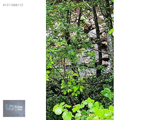 14 DÖNÜM TEK TAPU - BARTIN MERKEZ fotoğraf 4