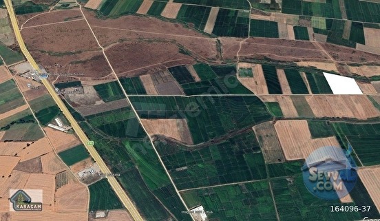 Çanakkale Biga Gerlengeç Köyünde Satılık Tarla - ÇANAKKALE BİGA fotoğraf 9