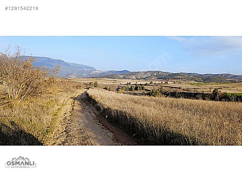 7.480 M2, RESMİ YOLA CEPHELİ, MANZARALI, %5 İMARLI SATILIK ARAZİ - BİLECİK SÖĞÜT fotoğraf 9