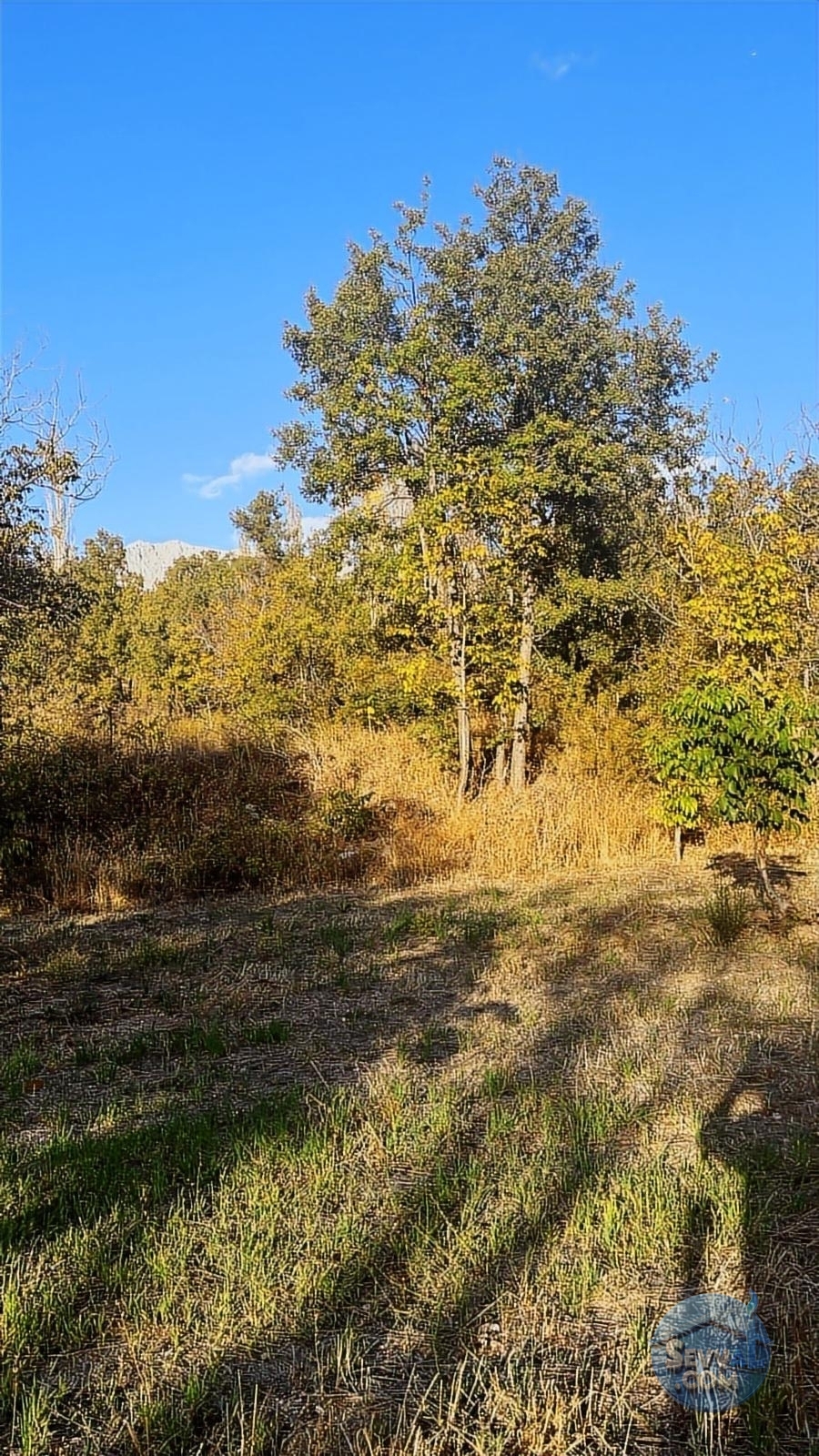 ASYA EVİM GAYRİMENKULDEN SAKARCA MAH.SATILIK ARAZİ - Burdur Ağlasun fotoğraf 27