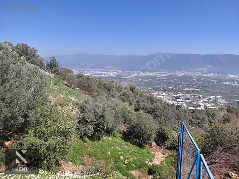 Kemalpaşa Soğukpınar İmar Gelişim Alanında Satılık 2,877m2 Bahçe - İZMİR KEMALPAŞA fotoğraf 21