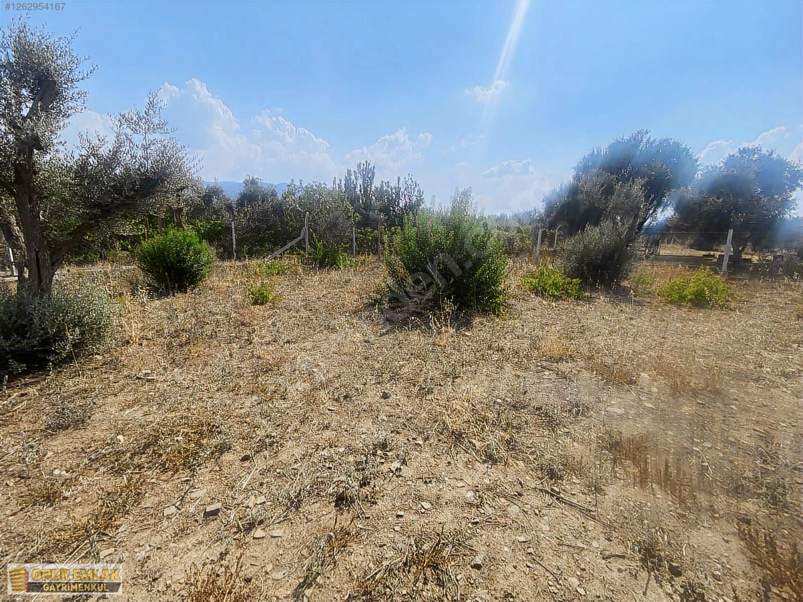 50 m2 Ev 600 m2 arazi - İZMİR KEMALPAŞA fotoğraf 11