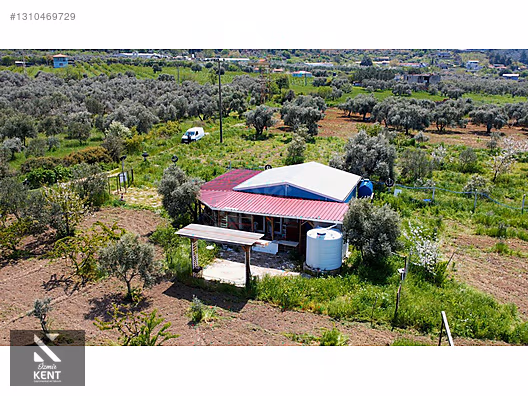 Kemalpaşa Halilbeylide Satılık 3000 m2 Bahçe 40 m2 Ev - İZMİR KEMALPAŞA fotoğraf 16