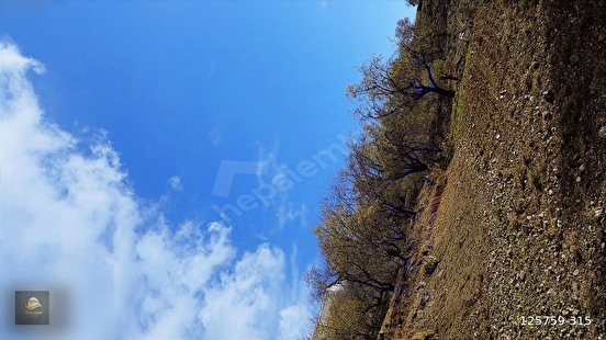 ANAMUR ÇATALOLUK SATILIK 5800 M2 TARLA - MERSİN ANAMUR fotoğraf 2