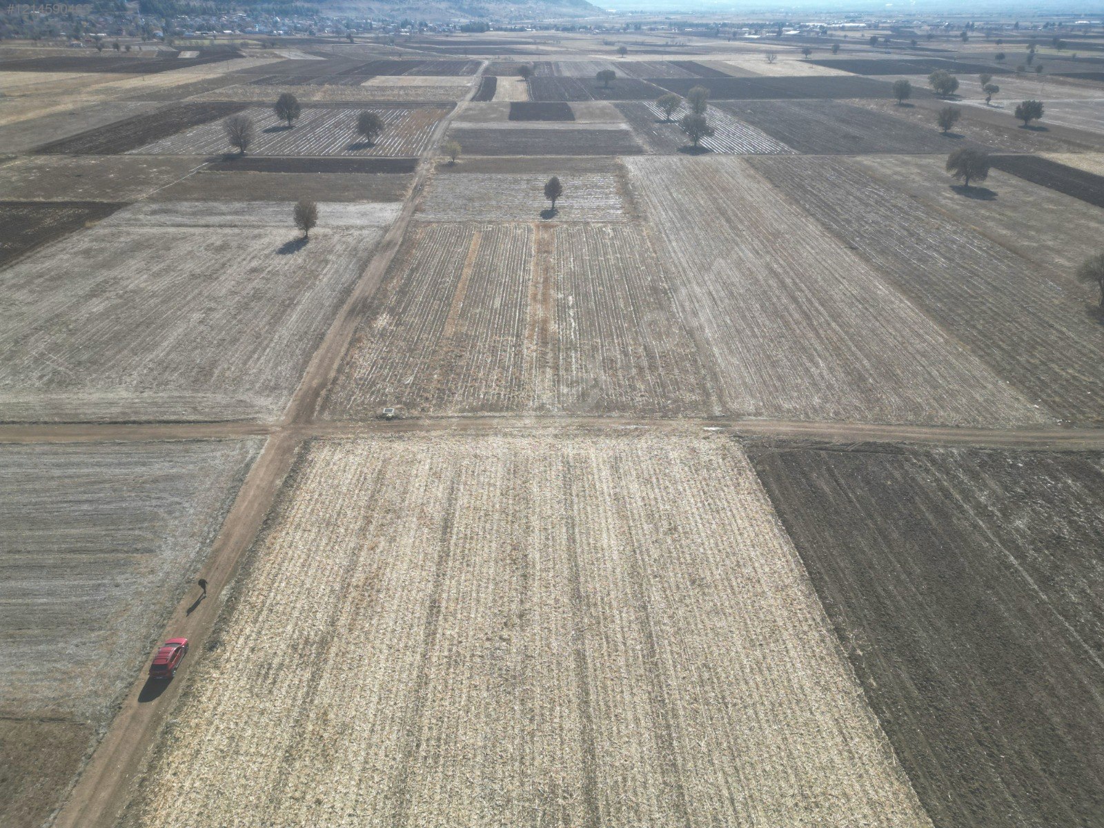 DENİZLİ ACIPAYAM YUMRUTAŞ  MAHALLESİ  1.598  M²  TARLA  SATILIKTIR