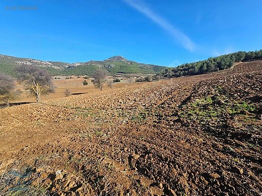 Bucak Seydiköy'de Göl Manzaralı 20 Dönüm Satılık Tarla - BURDUR BUCAK fotoğraf 14