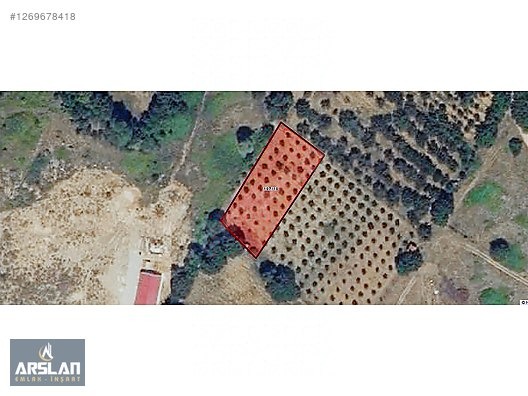 ARSLAN EMLAK'TAN İNEGÖL ÇİTLİ KÖYÜNDEN SATILIK ŞEFTALİ BAHÇESİ - BURSA İNEGÖL fotoğraf 2