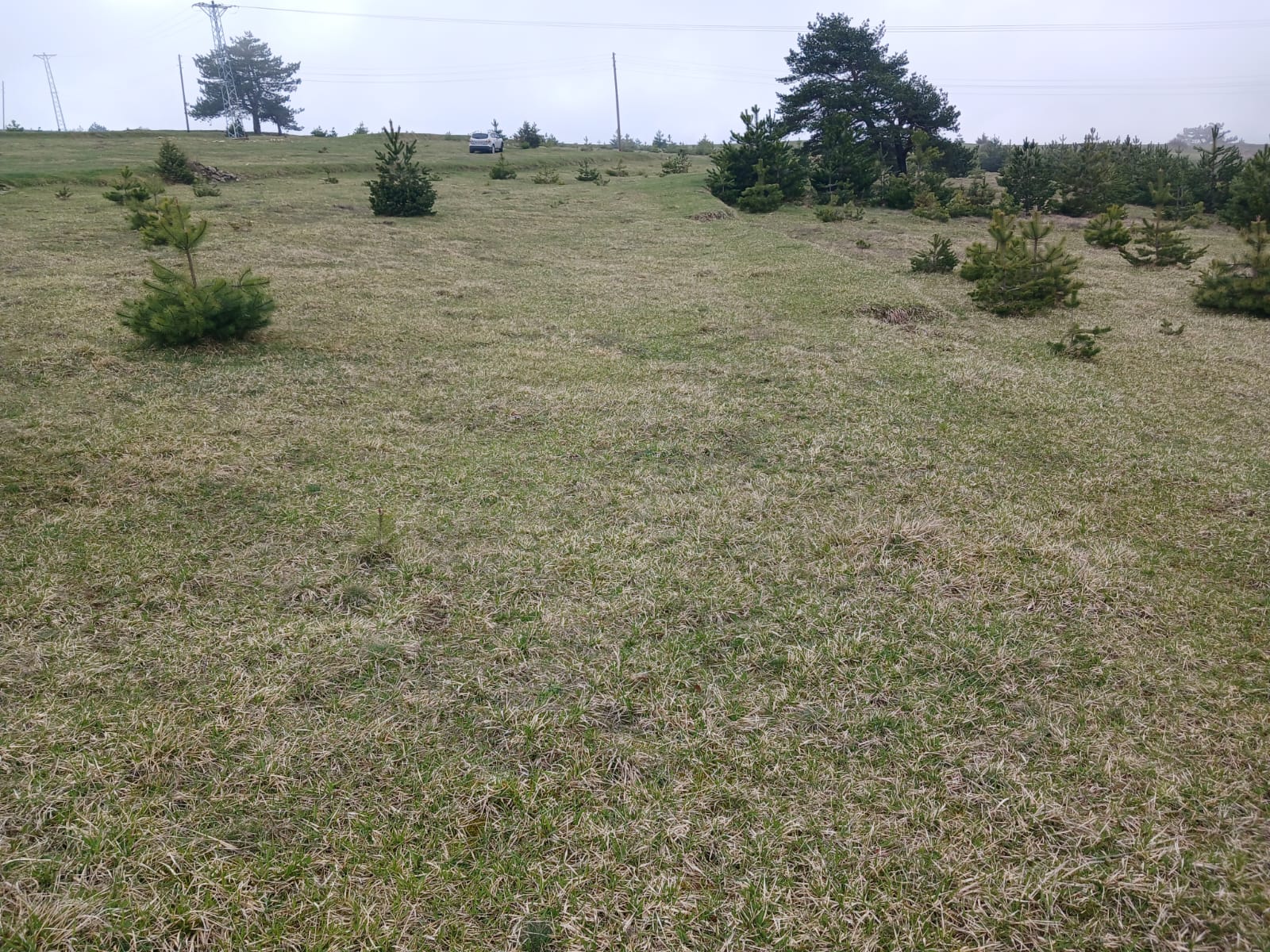 SİNOP DİKMEN ÇUKURCAALAN KÖYÜNDE 2.915M² TARLA SATILIK - SİNOP DİKMEN fotoğraf 22