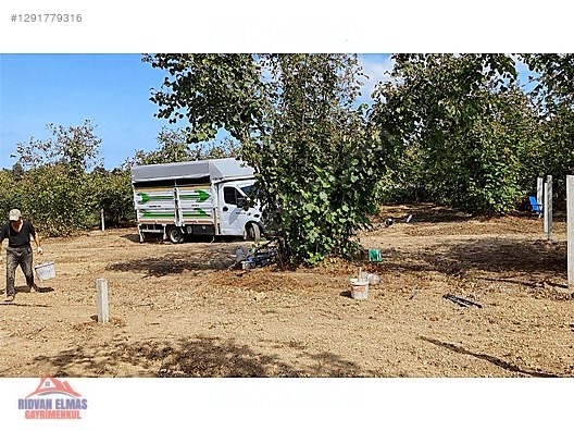 SAKARYA KAYNARCA SATILIK ARSA - SAKARYA KAYNARCA fotoğraf 2