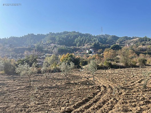 Kisecik Merkezde, Arkasında,Solunda Evler Olan Bahçe Satılık  1.782 m²  - HATAY ANTAKYA fotoğraf 5