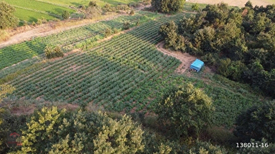 Balıkesir/Gönen'in Doğa İle İç İçe Köyünde 9.050 m² ve 7.260 m² Sulu(Pompaj) Tar - BALIKESİR GÖNEN fotoğraf 6