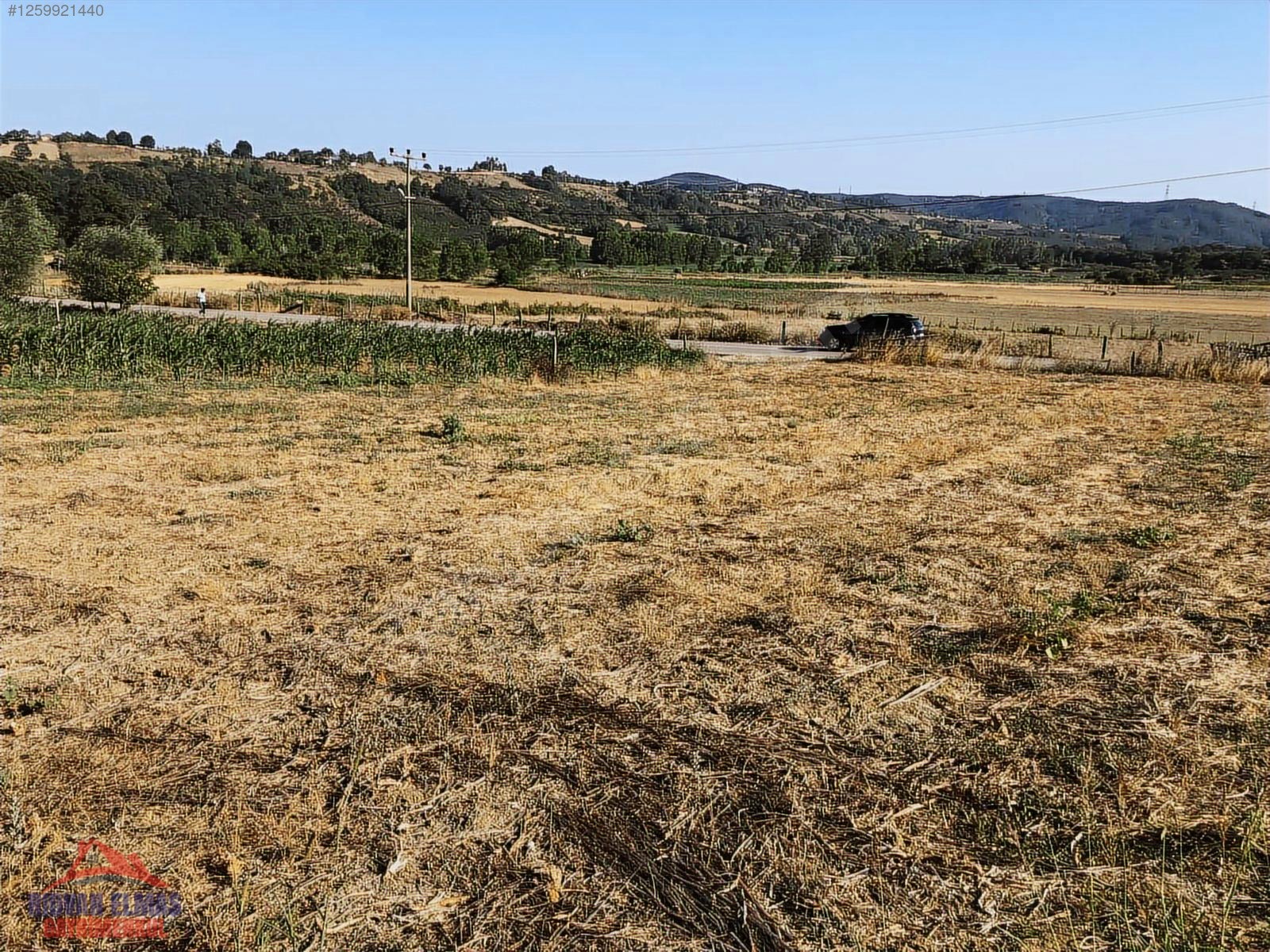 Kandıra Kırkarmut Ana Yola Cephe Satılık Arsa - KOCAELİ KANDIRA fotoğraf 15