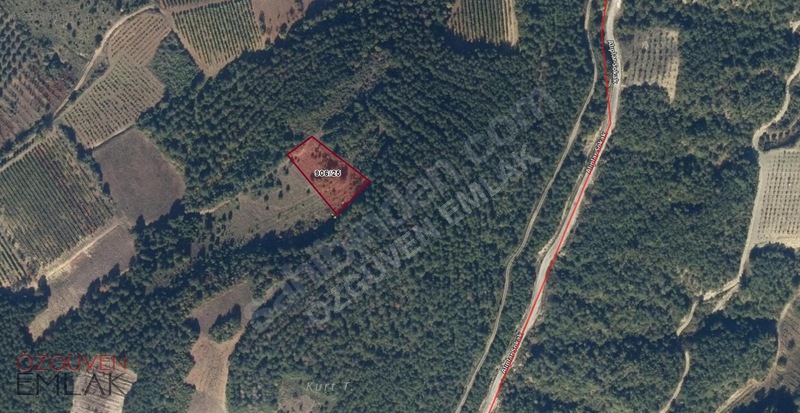 Geyve Umurbey'de 2141 m2 Eşsiz Fiyat - SAKARYA GEYVE fotoğraf 4