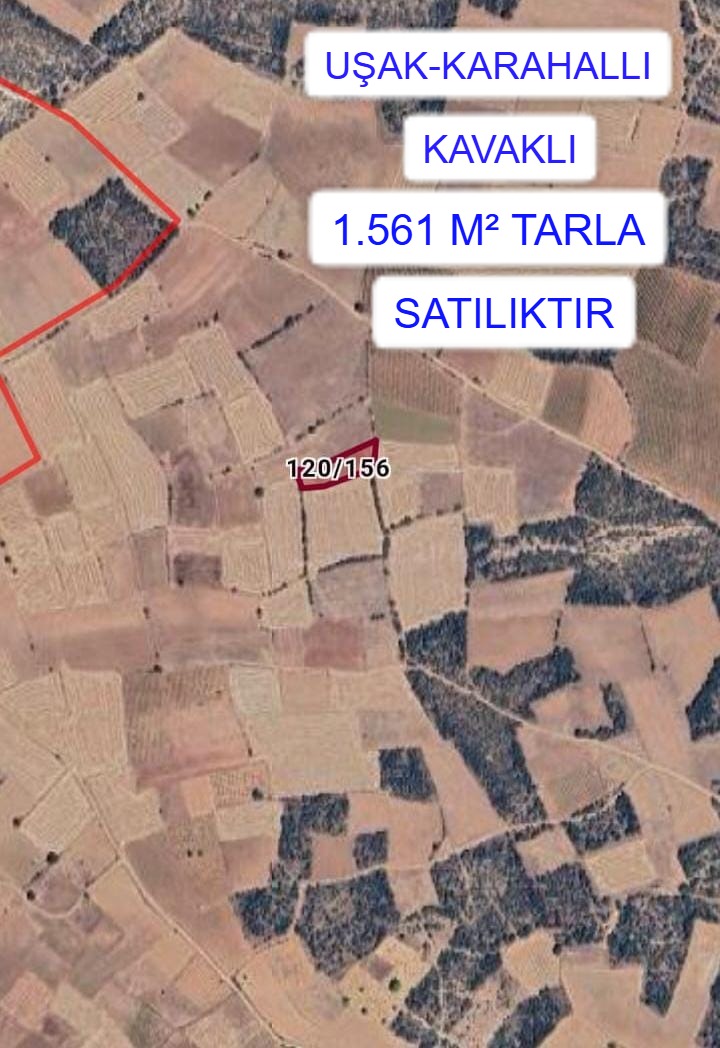 UŞAK KARAHALLI KAVAKLI MAH.1.561M² TARLA SATILIKTIR - UŞAK KARAHALLI fotoğraf 2