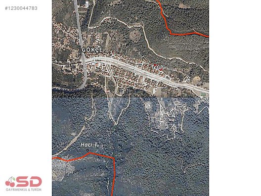 Muğla Ula Gökçe Köyü Fırsat Narenciye Bahçesi - MUĞLA ULA fotoğraf 4