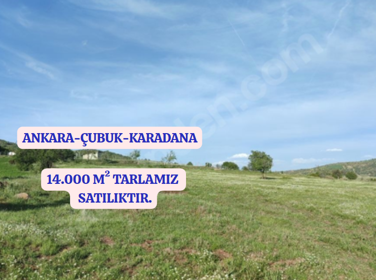 İlan Resmi