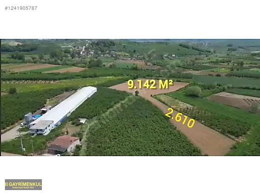 11.752 M² FIRSAT FINDIK BAHÇESİ SAKARYA KAYNARCA ZİAHMET MAH. - SAKARYA KAYNARCA fotoğraf 17