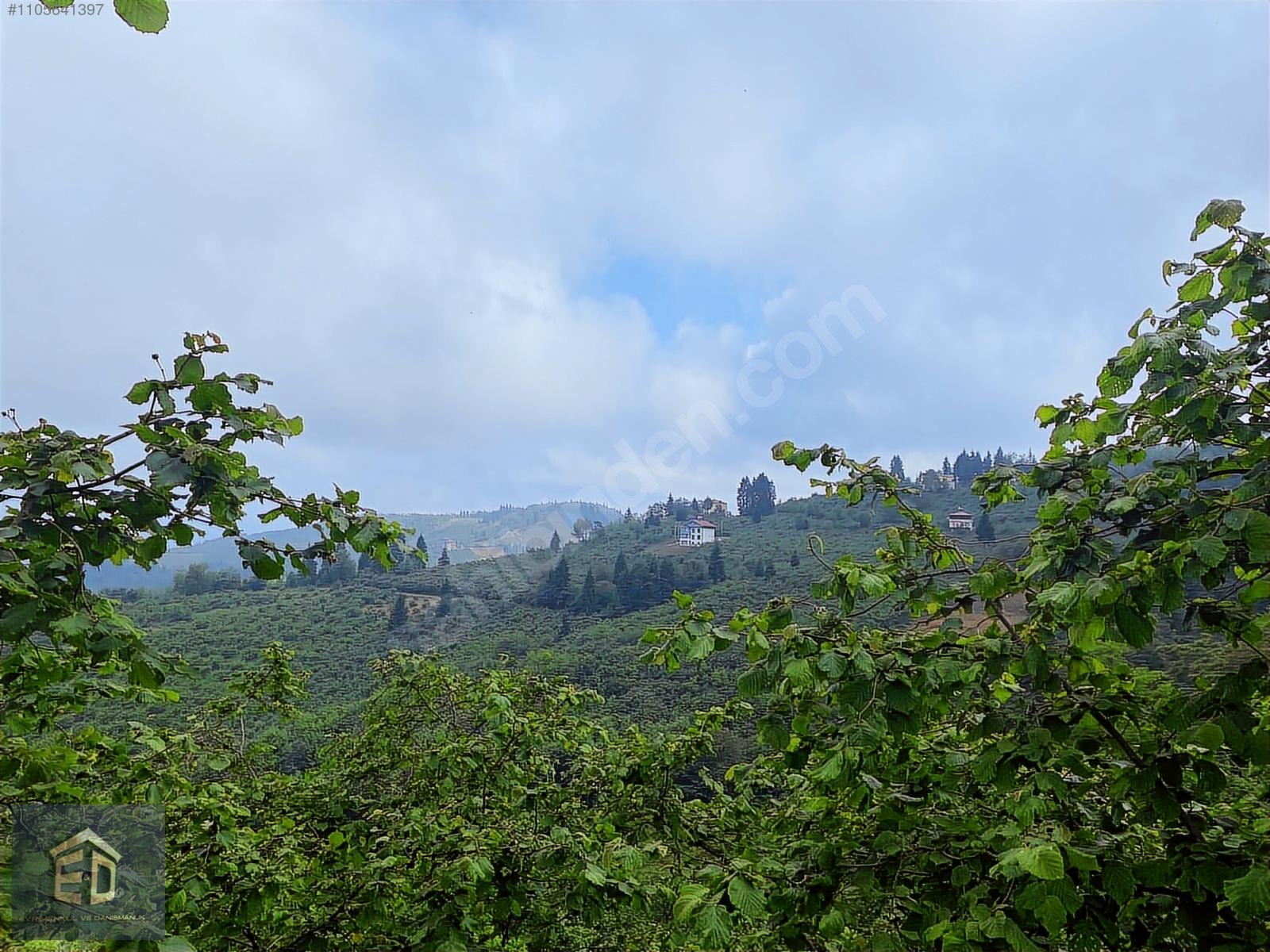 TRABZON MAĞMAT BOĞAZINDA SATILIK 6.230M² MUHTEŞEM BİR ARSA - TRABZON ORTAHİSAR fotoğraf 12