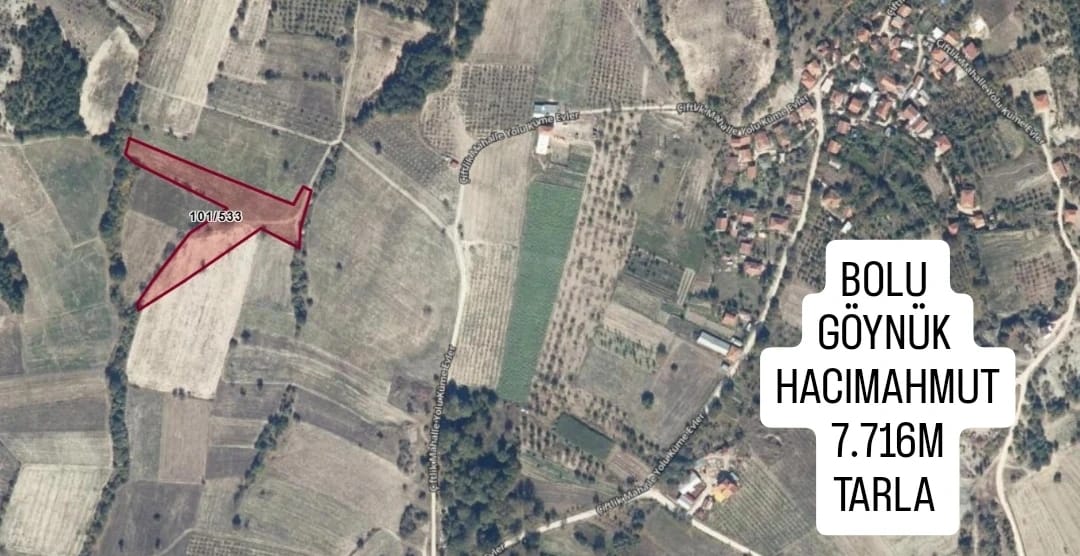 İlan Resmi