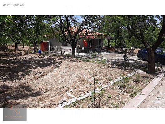 EMTİA'DAN DİLEK MERKEZ'DE SATILIK KAYSI BAHÇESİ - MALATYA YEŞİLYURT fotoğraf 7