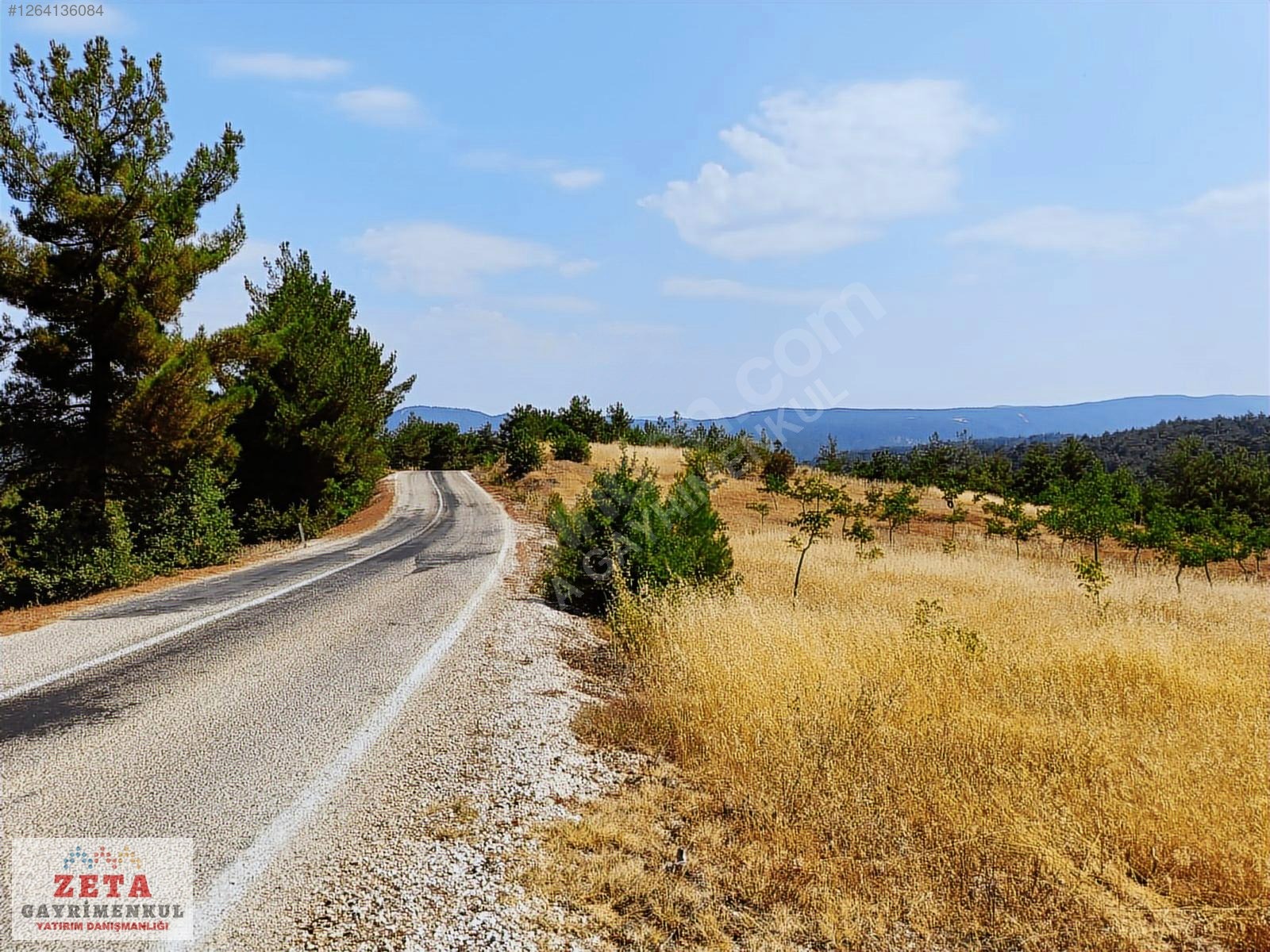 Sakarya Taraklı'da 11.240 m² Yatırımlık Tarla - SAKARYA TARAKLI fotoğraf 5