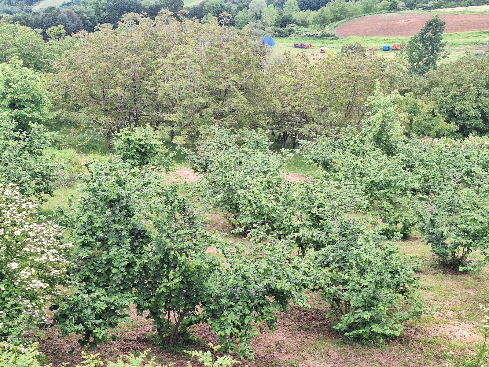 Kocaeli İzmit Balören Mahallesi'nde ARAÇ TAKASLI - KOCAELİ İZMİT fotoğraf 10