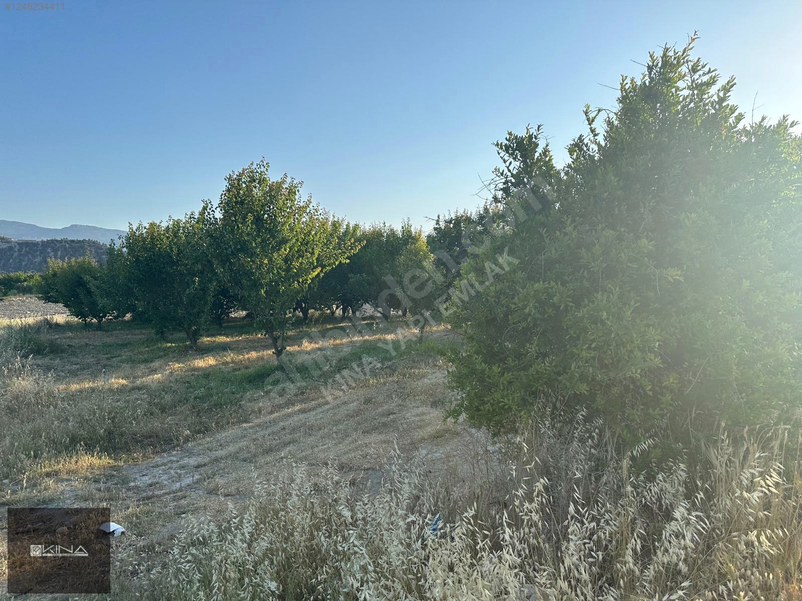 MUT - SİLİFKE KARAYOLUNA 250 M MESAFEDE SATILIK BAHÇE - MERSİN MUT fotoğraf 26