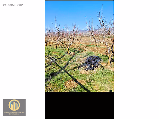 HASANPASADA SATILIK 309 M² TEL ÖRGÜ ILE ÇEVRİLİ HIBI BAHÇESİ - BURSA İNEGÖL fotoğraf 2