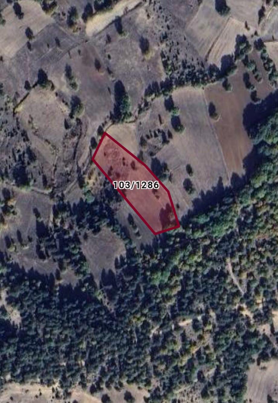 KÜTAHYA ÇAVDARHİSAR KIZIKKÖYÜ 5.103M² TARLA SATILIKTIR - KÜTAHYA ÇAVDARHİSAR fotoğraf 3
