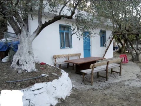 Yeliz'den Manisa Soma'da Merkeze Yakın Hobi Bahçesi - MANİSA SOMA fotoğraf 2