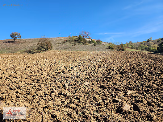 TAHTALI GÖLETİNE YAKIN BÖLGE GEREDELİ'DE 3391 M2 MÜSTAKİL TARLA - KOCAELİ DERİNCE fotoğraf 25