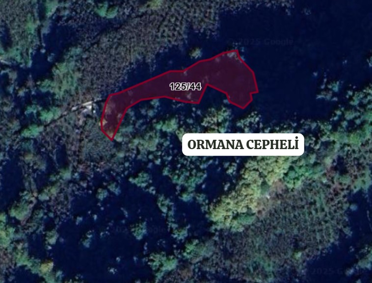 ZONGULDAK EREĞLİ SOFULAR KÖYÜ’NDE 2.245 M² BAĞMIZ SATILIKTIR - ZONGULDAK EREĞLİ fotoğraf 3