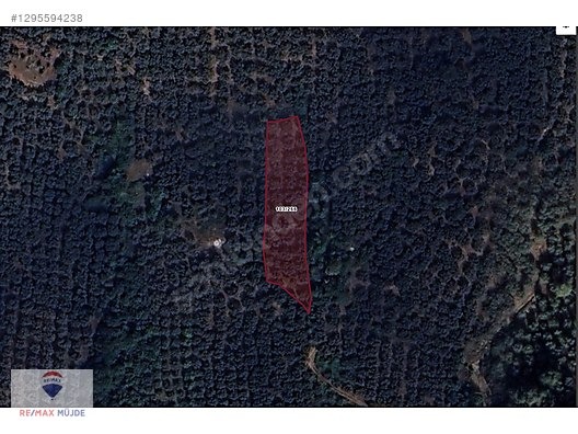 BURSA ORHANGAZİ NARLICA MAH. 1.247 M2 SATILIK ZEYTİNLİK - BURSA ORHANGAZİ fotoğraf 11