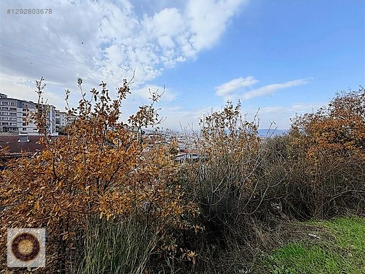 KESTEL VANIMEHMET MH SATILIK 483 M2 ARSA - BURSA KESTEL fotoğraf 8