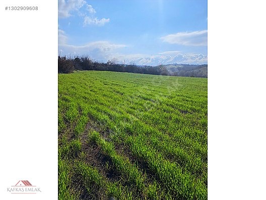 BOĞAZKÖYDE İMAR SINIRINDA 17.700M2 TARLA - BURSA MUSTAFAKEMALPAŞA fotoğraf 5