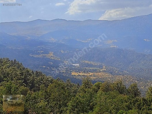 konyaaltı Doyranda 629m tapulu arsa - ANTALYA KONYAALTI fotoğraf 2