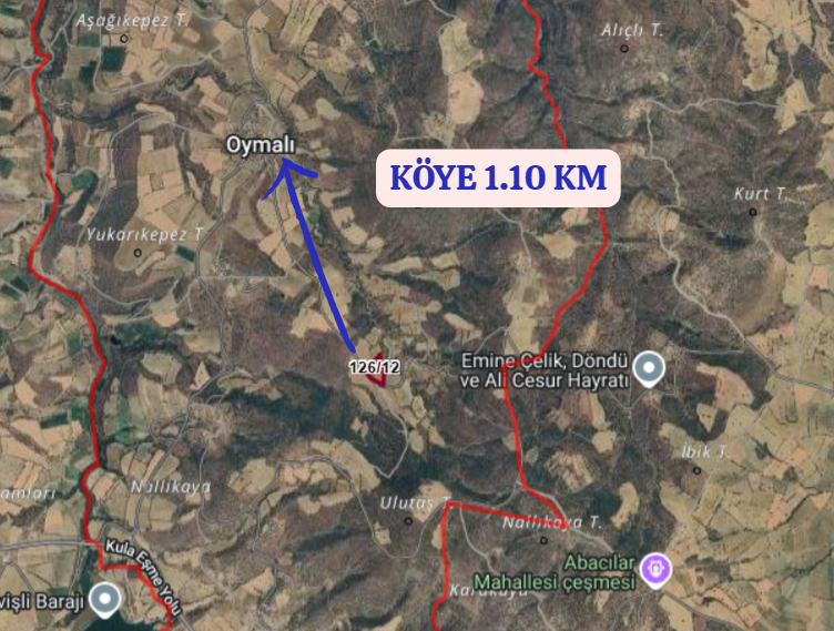 UŞAK EŞME OYMALI KÖYÜNDE 10.100 M² TARLASATILIKTIR - UŞAK EŞME fotoğraf 5