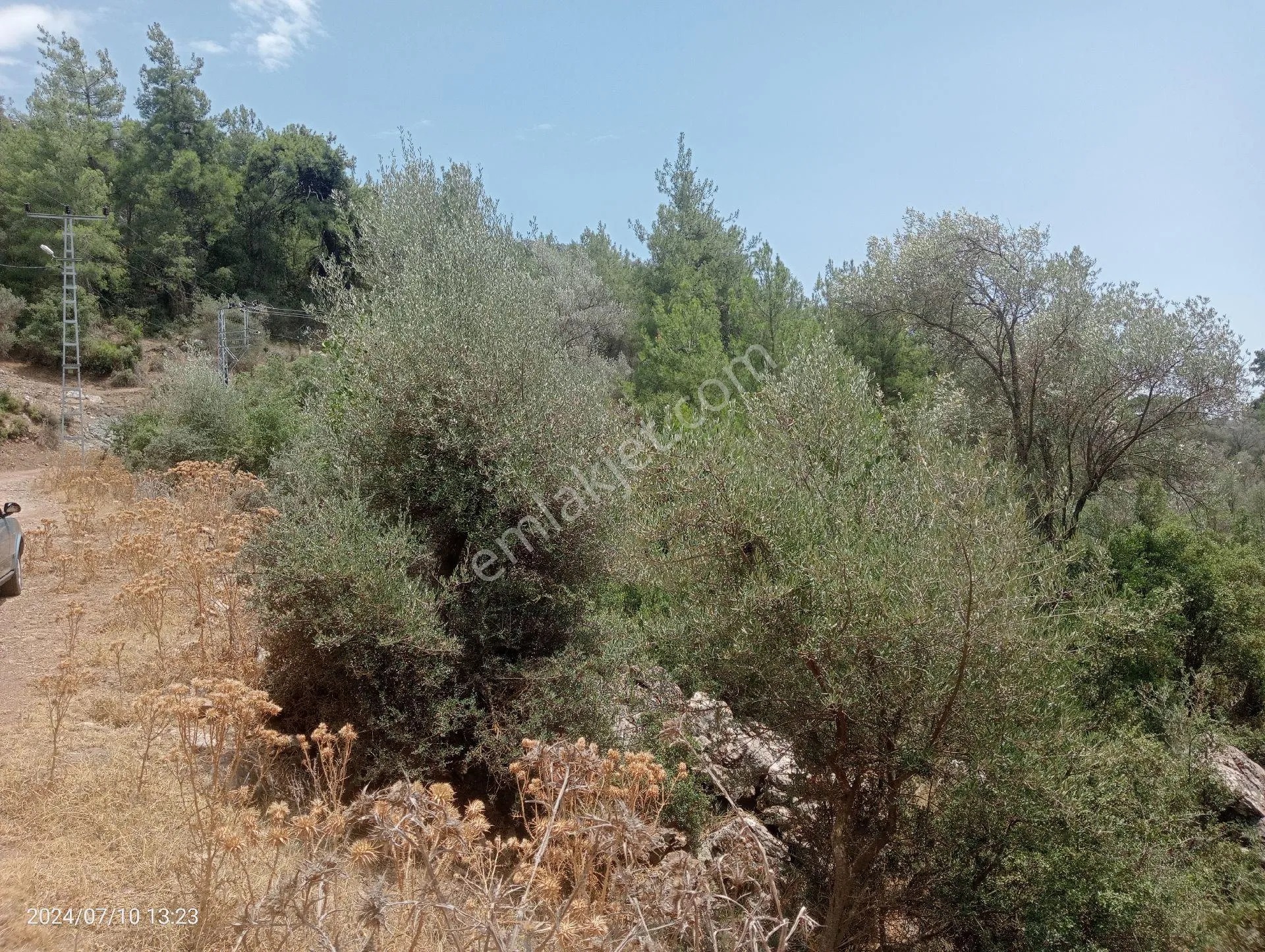 Antalya Kumluca Orta Köyde Satılık Tarla İnceoğlu Emlak - ANTALYA KUMLUCA fotoğraf 8