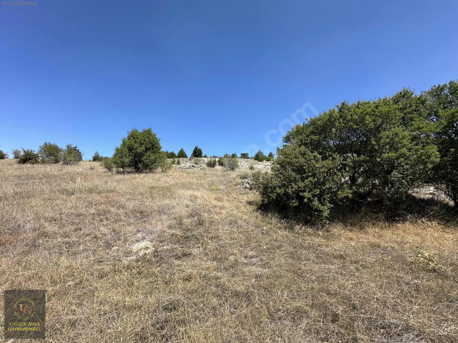 BOLU KIBRISCIK SARIKAYA'DA 8.370 M2 UYGUN ARSA - BOLU KIBRISCIK fotoğraf 21